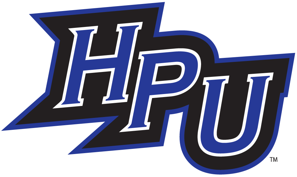 High Point Panthers 2004-2011 Alternate Logo iron on paper